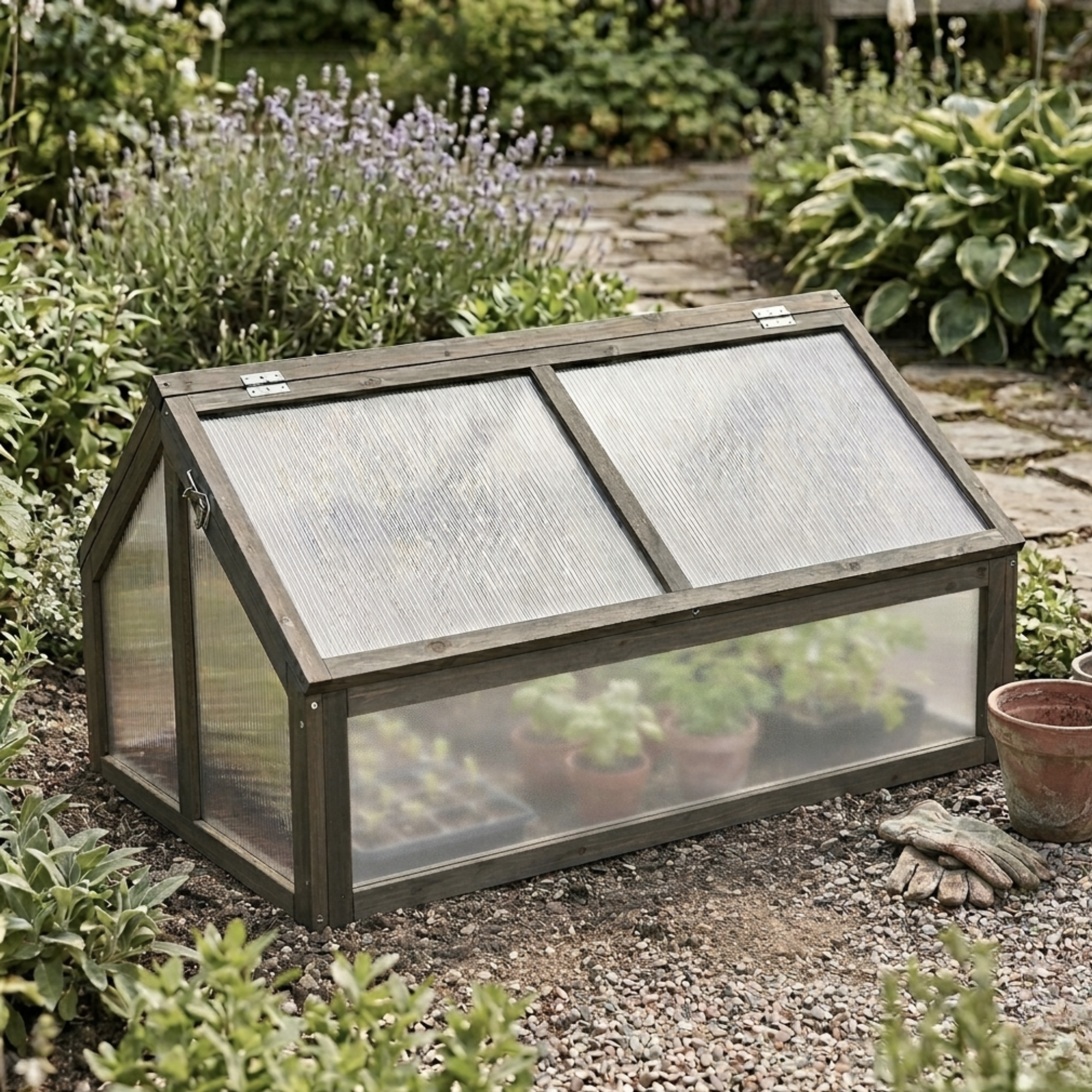 Mini Serre de Jardin : Semis, Boutures et Hivernage | Guide Complet 2025 Image
